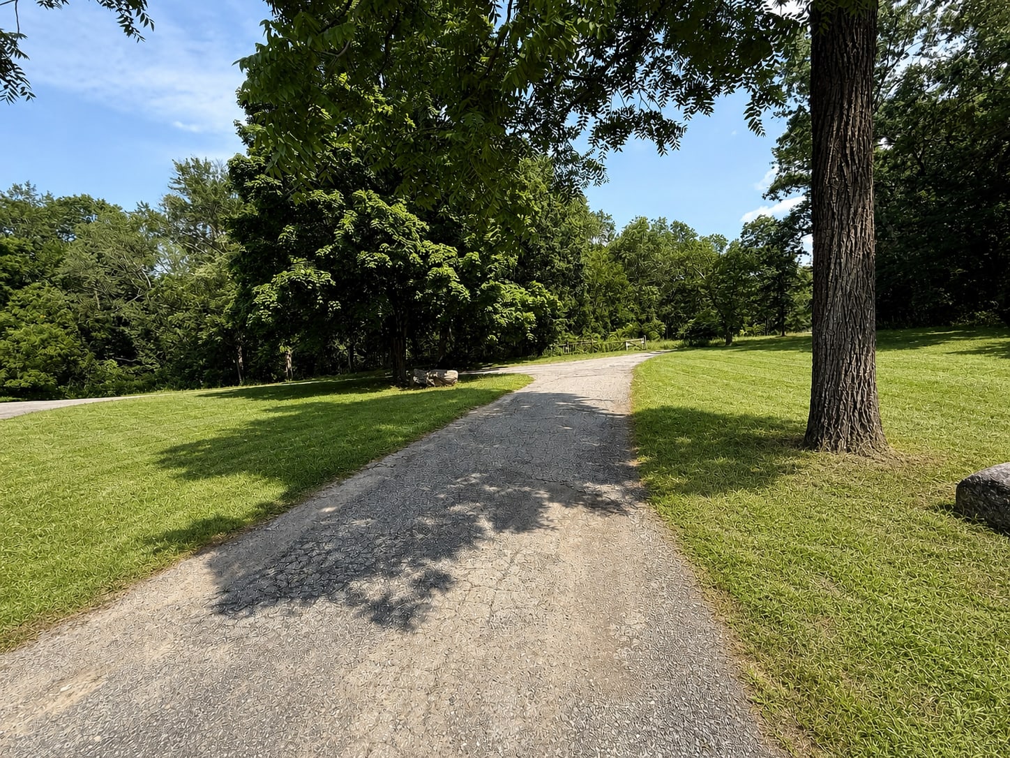 Tree-lined drive through River Vu Farms
