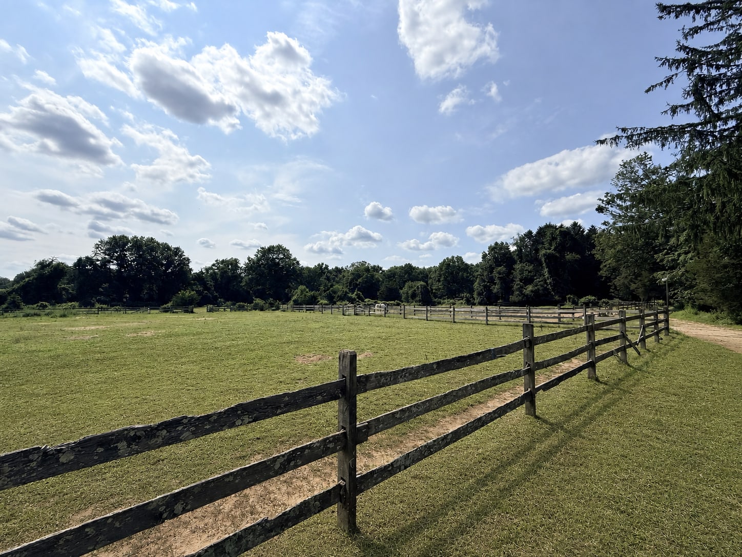 Fenced turnout field at River Vu Farms